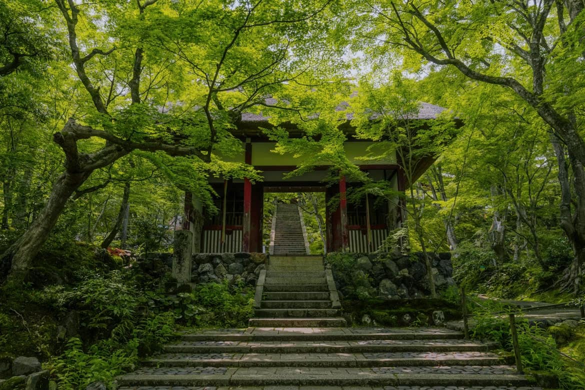 Porte d'un temple japonais entourée d'érables verts