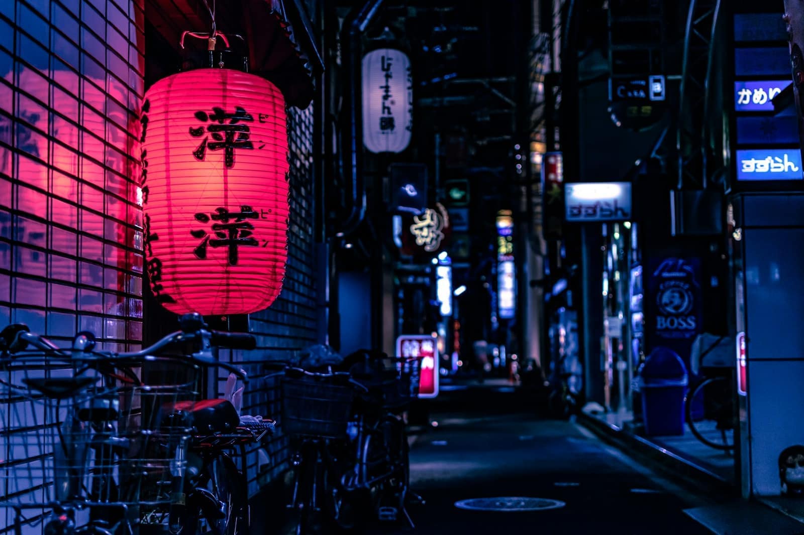 Voyager au Japon selon vos envies