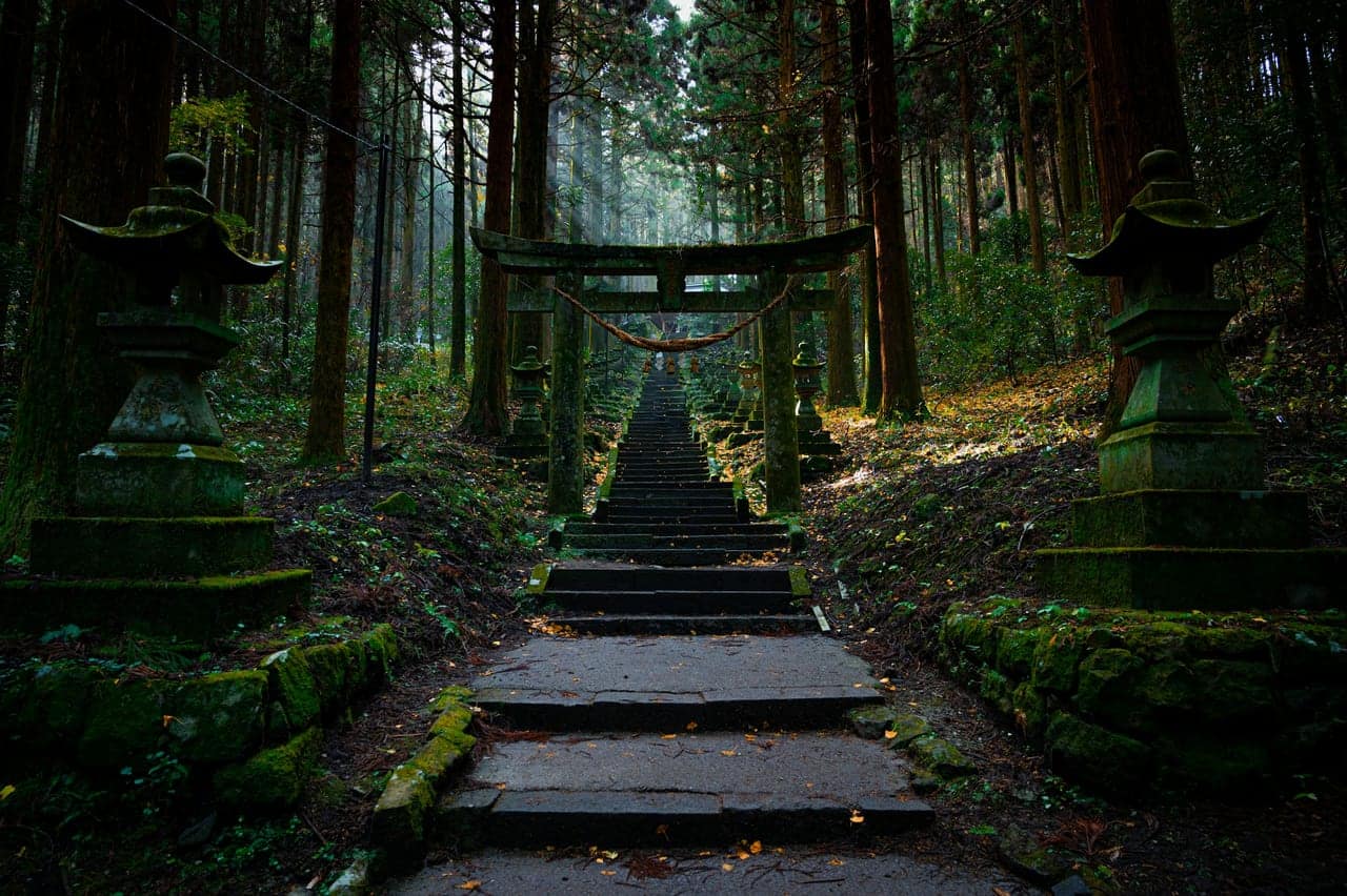 Japon nature