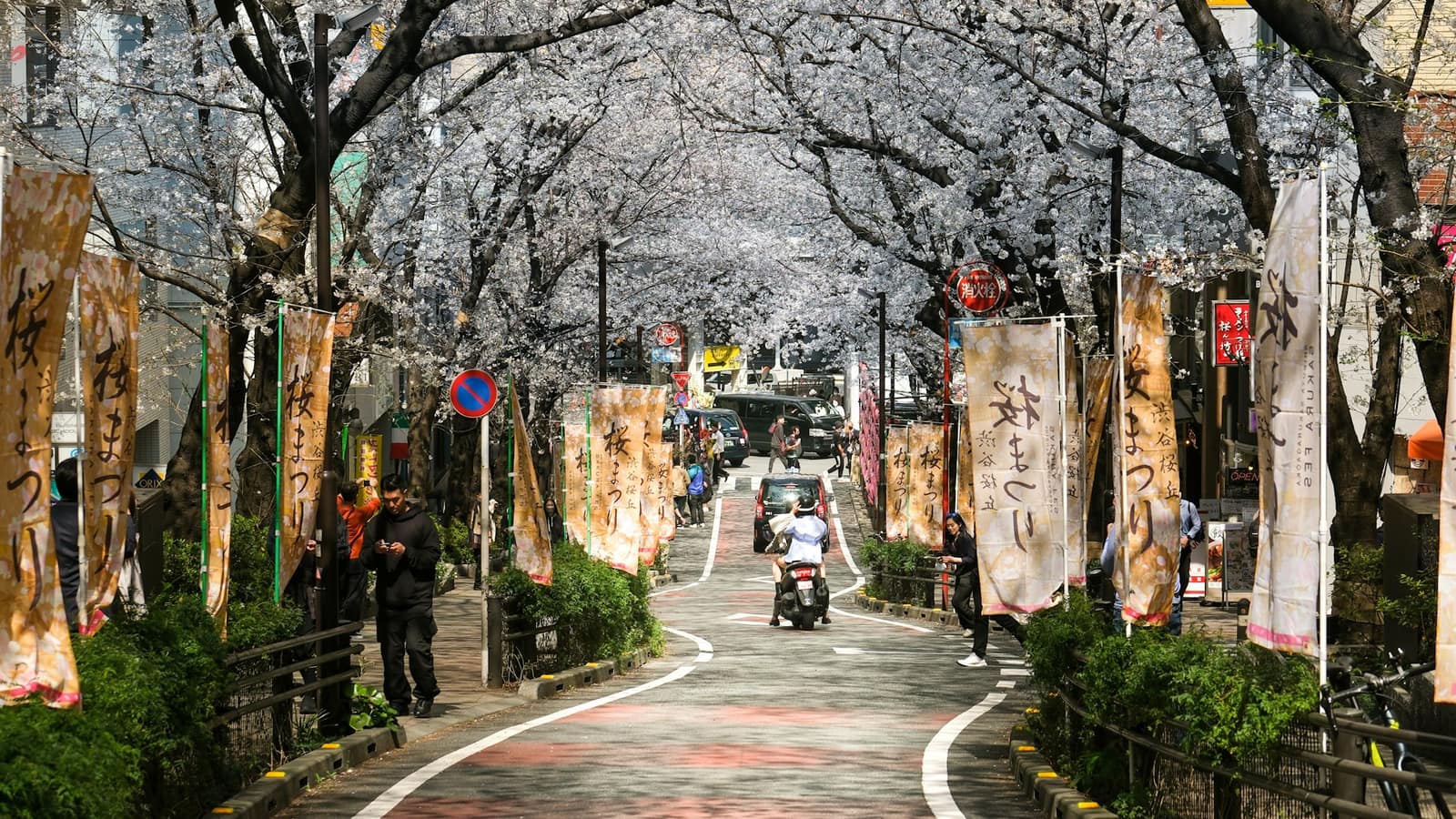 Quand partir à Tokyo ?