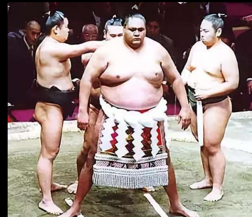 sumo